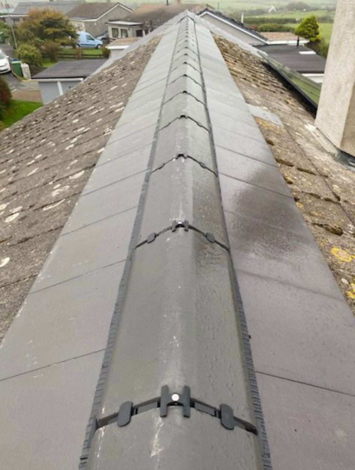 Roof ridge part-cleaned during moss removal, showing cleaned tiles alongside untreated mossy tiles